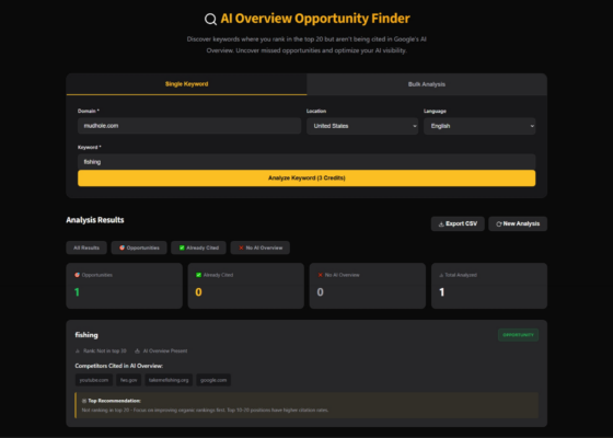 AI Overview finder